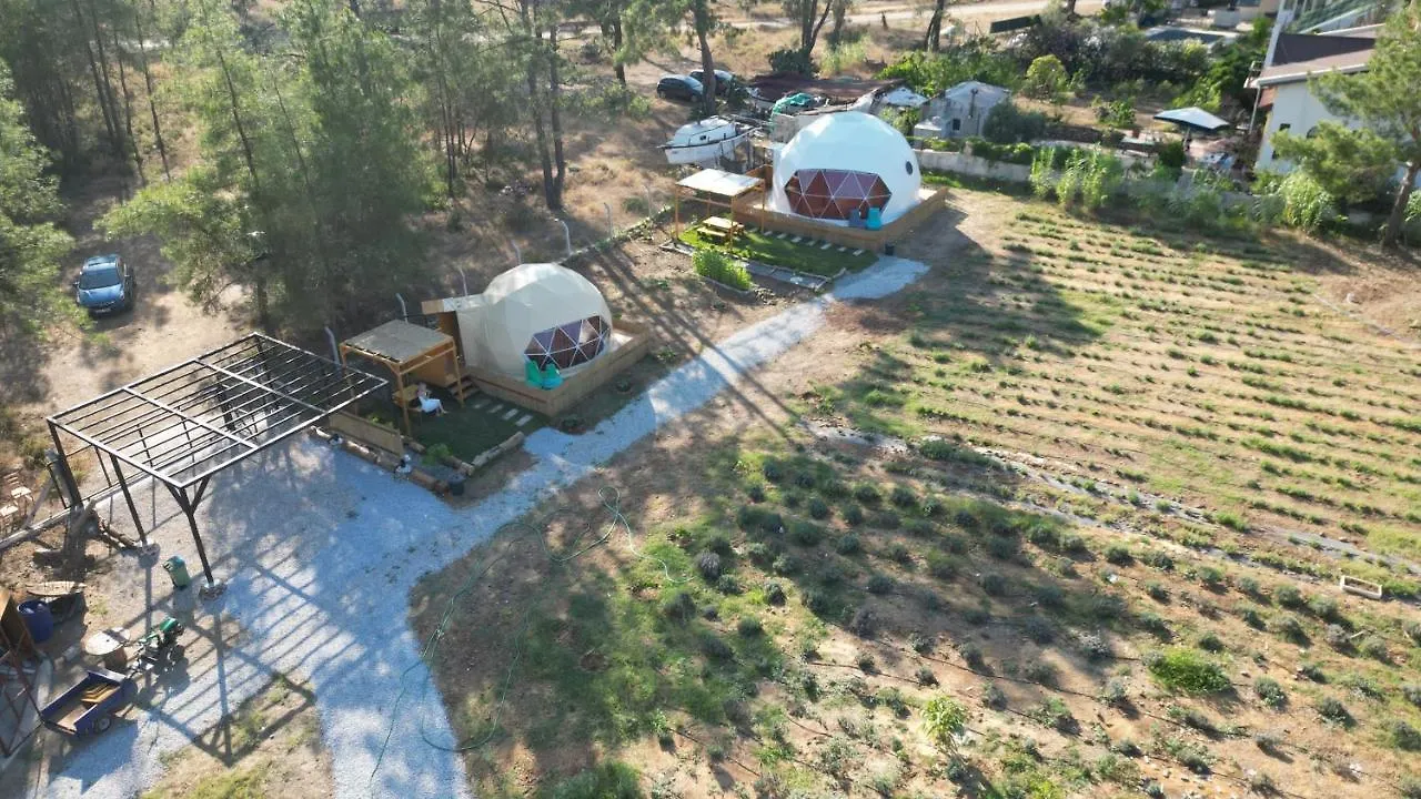 Pavlonyaguestfarm location
